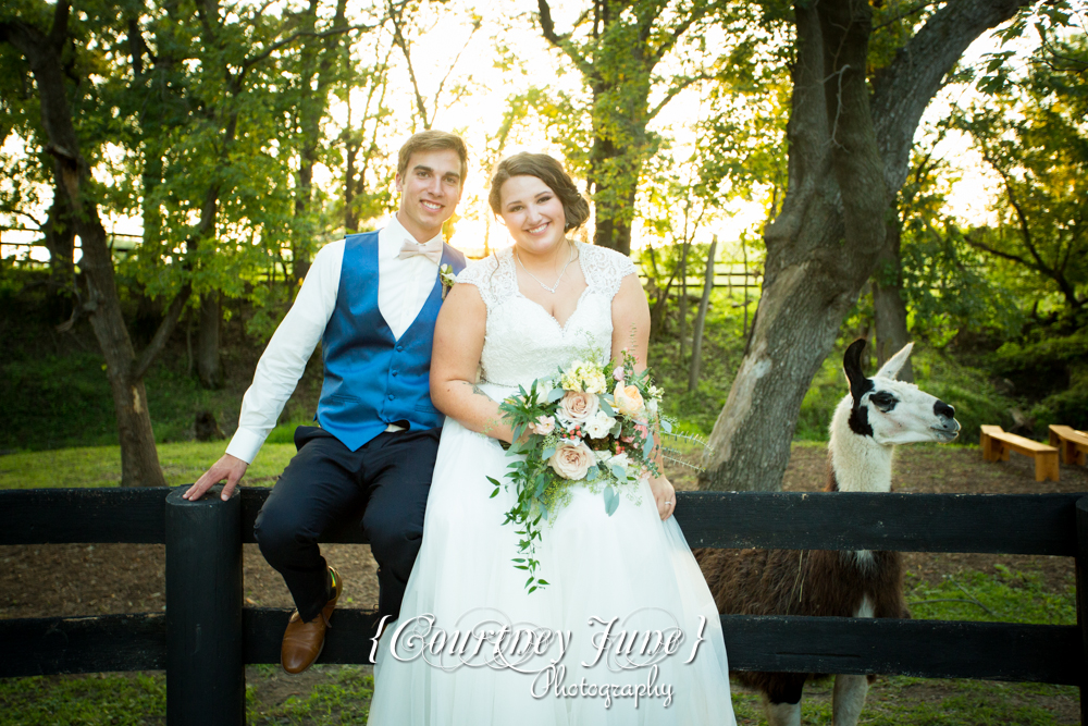 Golden Oak Farm Wedding Photographer