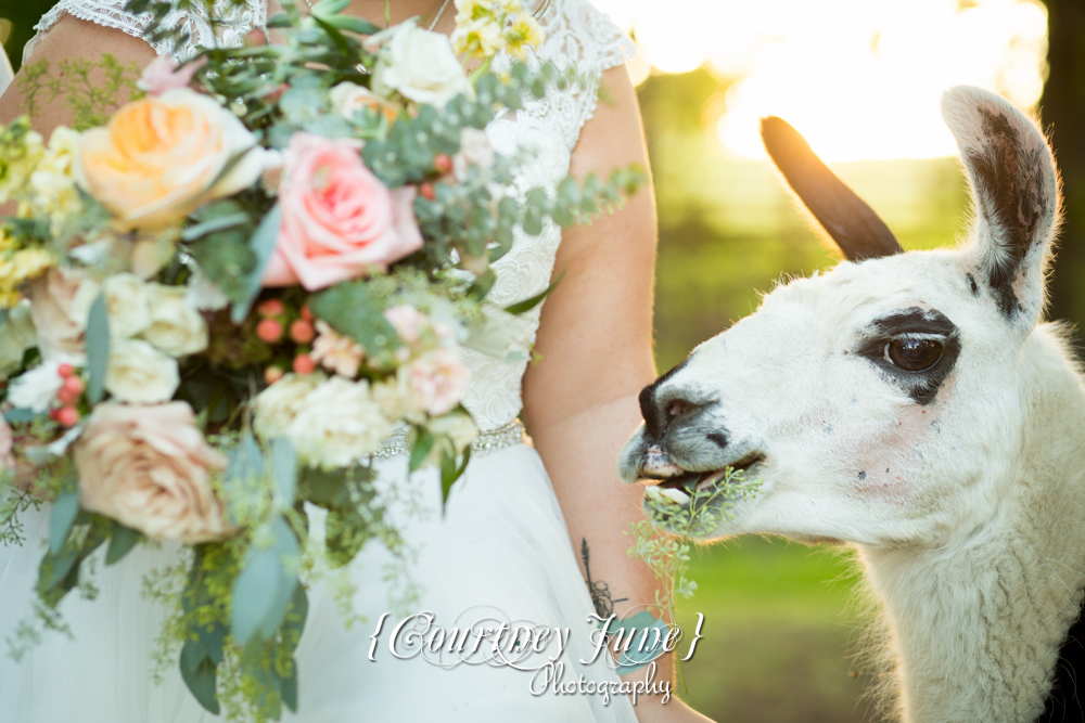 Golden Oak Farm Wedding Photographer