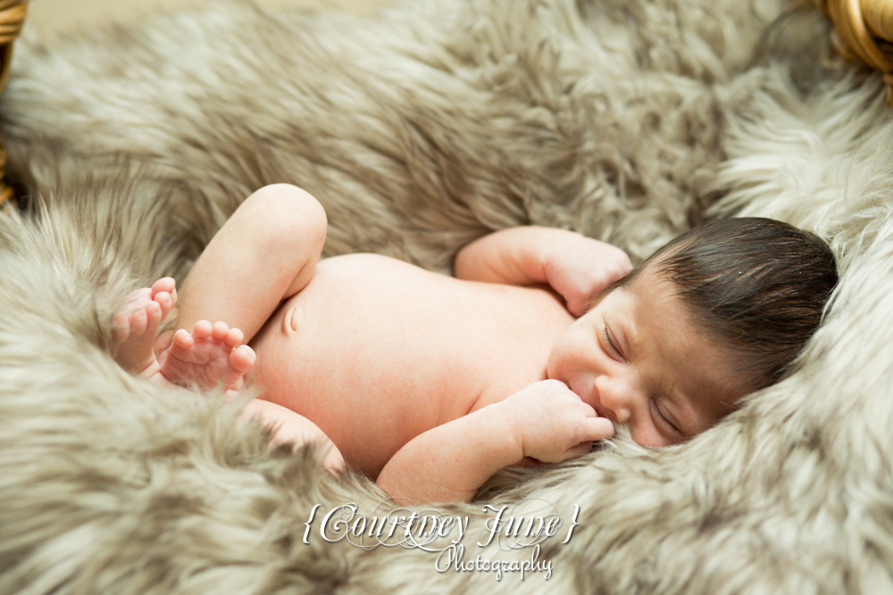 newborn photographer photographing a newborn portrait on a furry blanket 