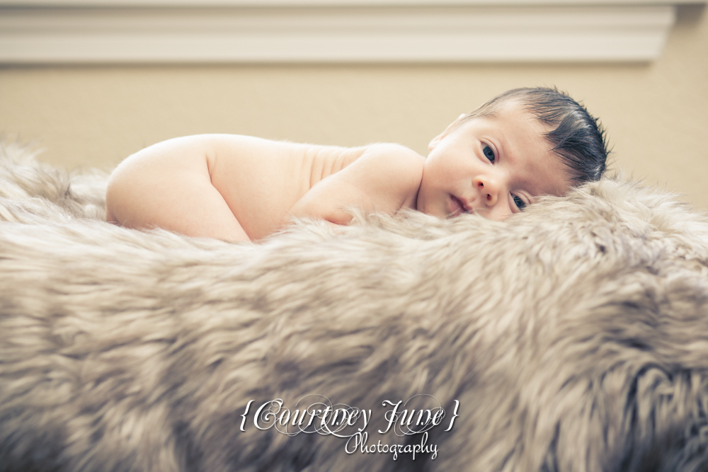 newborn photographer photographing a newborn on his stomach laying on a furry blanket looking at the camera