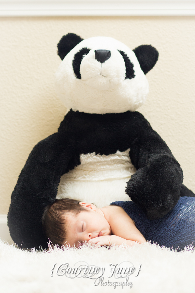 newborn photographer photographing a newborn baby in blue swaddle with a giant stuffed panda holding him 