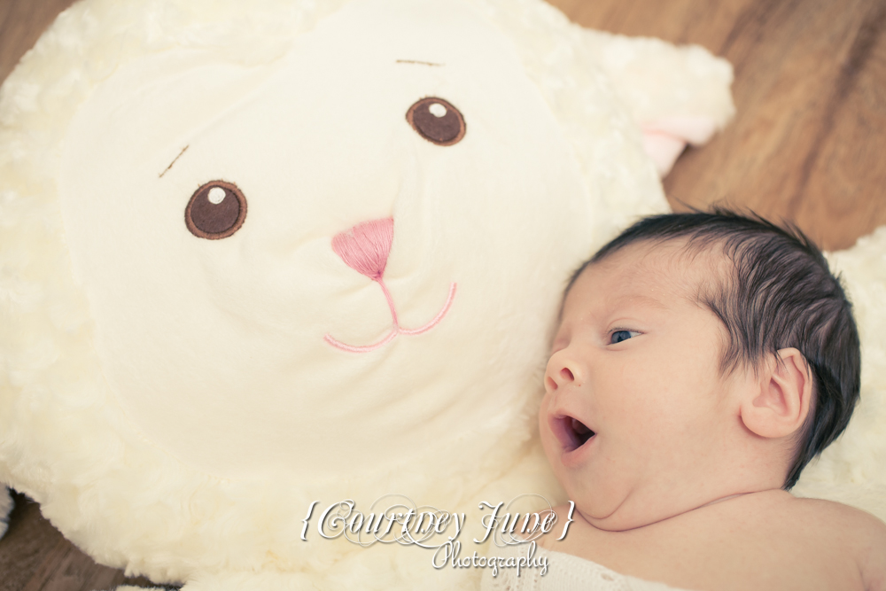 newborn photographer photographing a newborn baby yawning and lying on a giant stuffed lamb 